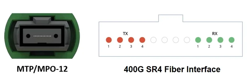 MPO-12 vs MPO-16: Which Connector Is Better for 400G and 800G Parallel Optics?